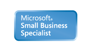 ms-small-biz_logo_300x169